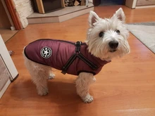 Pet-Dog-Jacket Harness Bulldog-Outfits Labrador Warm French Chihuahua Waterproof Large