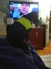 Coat Jacket Puppy-Vest Dogs Waterproof Winter Medium Pet-Dog Zipper Small Large Warm