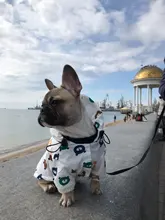 Clothing Bulldog-Clothes Corgi Raincoat Poodle Pug Bichon French Waterproof for Schnauzer