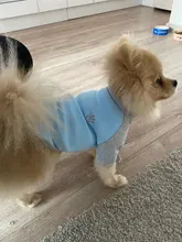 Ropa de perro de moda ropa de invierno para perros pequeños perros mediano chaqueta de abrigo Chihuahua ropa para mascotas para pequeño mediano perros Carlino
