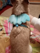 Arnés de nailon pequeño para perros, 10 colores, bonito arnés a prueba de Escape para gatos, conejos, Chihuahua y cachorros