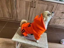 Jumpsuit Clothing Hoodies Jacket Pet-Dog-Coats Small Dogs Sport Apparel Winter Fashion