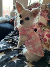 Abrigo para perros pequeños, ropa cálida para mascotas, tipo chaleco, ideal chihuahua, para invierno