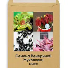 Семена Мухоловок Микс, venus flytrap seeds, Dionaea muscipula seeds, Семена Мухоловок Микс, venus flytrap seeds, Dionaea muscipula seeds,
