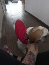 Abrigo de invierno para mascotas, ropa cálida para perros pequeños, abrigo de Navidad para perros grandes, chihuahua