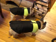 Vest Jacket Pets-Clothing Pug-Coat Puppy Dogs French Bulldog Waterproof Small Winter
