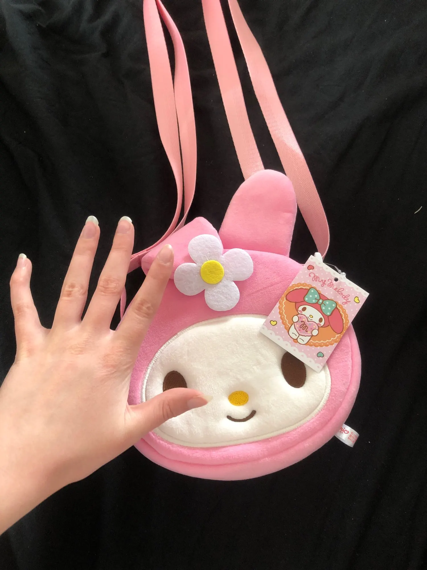 Pompompurin Soft Pencil Case