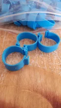 Bandas para las piernas de pollo, anillos de 20 Mm para aves de corral, 3 colores, anillo para palomas, codorniz, herramientas de transporte, etiqueta de número de alimentación, 100 Uds.