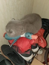 Dog-Toys Chew-Supplies Puppy Sound Dogs Wild Plush Cleaning Teeth Cartoon for Goose Resistance-To-Bite-Squeaky