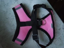 Mesh-Vest Harness Leash Walking-Lead Cat Small Dog Kitten Adjustable Puppy Nylon Mewoofun