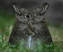 Portavelas de madera para mesa, adornos de energía, astrología, pentculo, placa de santuario, adivinación, candelabro mágico