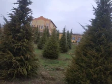 NOOA-Afeitadora eléctrica para hombres y mujeres, máquina de afeitar con cuchilla para cuerpo, cejas, bikini, depiladora femenina