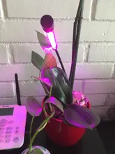 Phyto-Lamp Grow-Light Flower Seedlings Goodland USB Full-Spectrum For Plants LED 