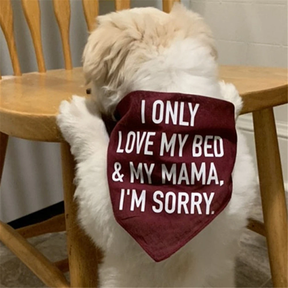 Personalised Dog Bandana I Only Love My Bed And Mama I'm Sorry maroon accessories gift outfit for dog | Дом и сад
