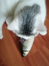 Doll-Pillow Cat-Toy Cat Mint Simulation-Fish Grass-Carp Funny New Pet-Molar