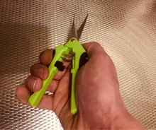 Tijeras de podar de Metal para jardín, Cortador manual de uvas, fruta, recolección de marihuana, en maceta para el hogar