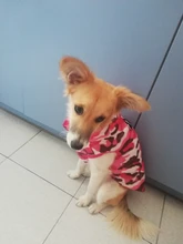 Chaqueta para perro impermeable de invierno, diseño de camuflaje, chaqueta de perro pequeño, Chihuahua, Yorkie, tienda de mascotas, XS-L