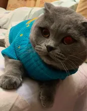 Pet Cat Reindeer Sweater Winter Warm Cat Clothes for Cats Kedi Outfit katten Clothing