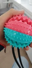 Pet Dog Toys Silicon Suction Cup Tug dog toy Dogs Push Ball Toy Pet Tooth Cleaning Dog