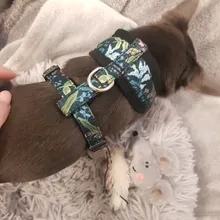 Cute Printed Chihuahua French Bulldog Harness Adjustable Puppy Cat Harness Pet Small