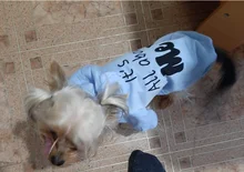 Coat Costume Hoodie Pet-Clothing Puppy Dogs Winter York Fashion Medium Small Thicken