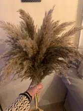 Pampas-Grass Reed Flower Wedding-Decoration Bunch Light-Color Natural Dried Christmas