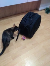 Bolsa de transporte portátil para perros y gatos, bolso plegable de viaje para mascotas, bolso de hombro de malla para cachorros, S/M/L