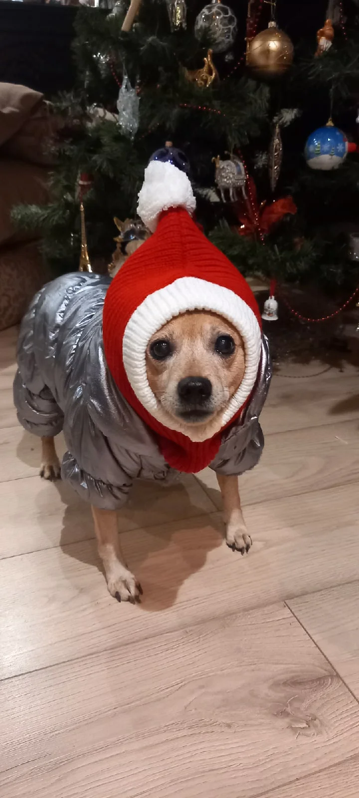 Winter Pet Dog Cap Hat Christmas Warm 