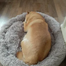 Perro mascota redondo largo de peluche perro camas para perros productos para mascotas cojín Super suave y esponjoso cómodo gato Mat suministros Accesorios