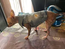 Dog-Vest Jacket Apparel Jeans Puppy Small Dogs Yorkshire Terrier Denim For Chihuahua