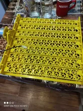 154 Eggs Incubator Eggs Automatic Incubator Incubator motor Turn Tray Poultry Incubation