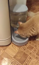 HOOPET Food Storage Pet Automatic Feeder Dog for Cat Drinking Bowl for Water Feeding