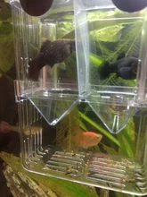 Boxes Hatching-Incubator Tanks Betta Isolation Acrylic Aquarium Fish-Tank-At001 Fish-Breeding