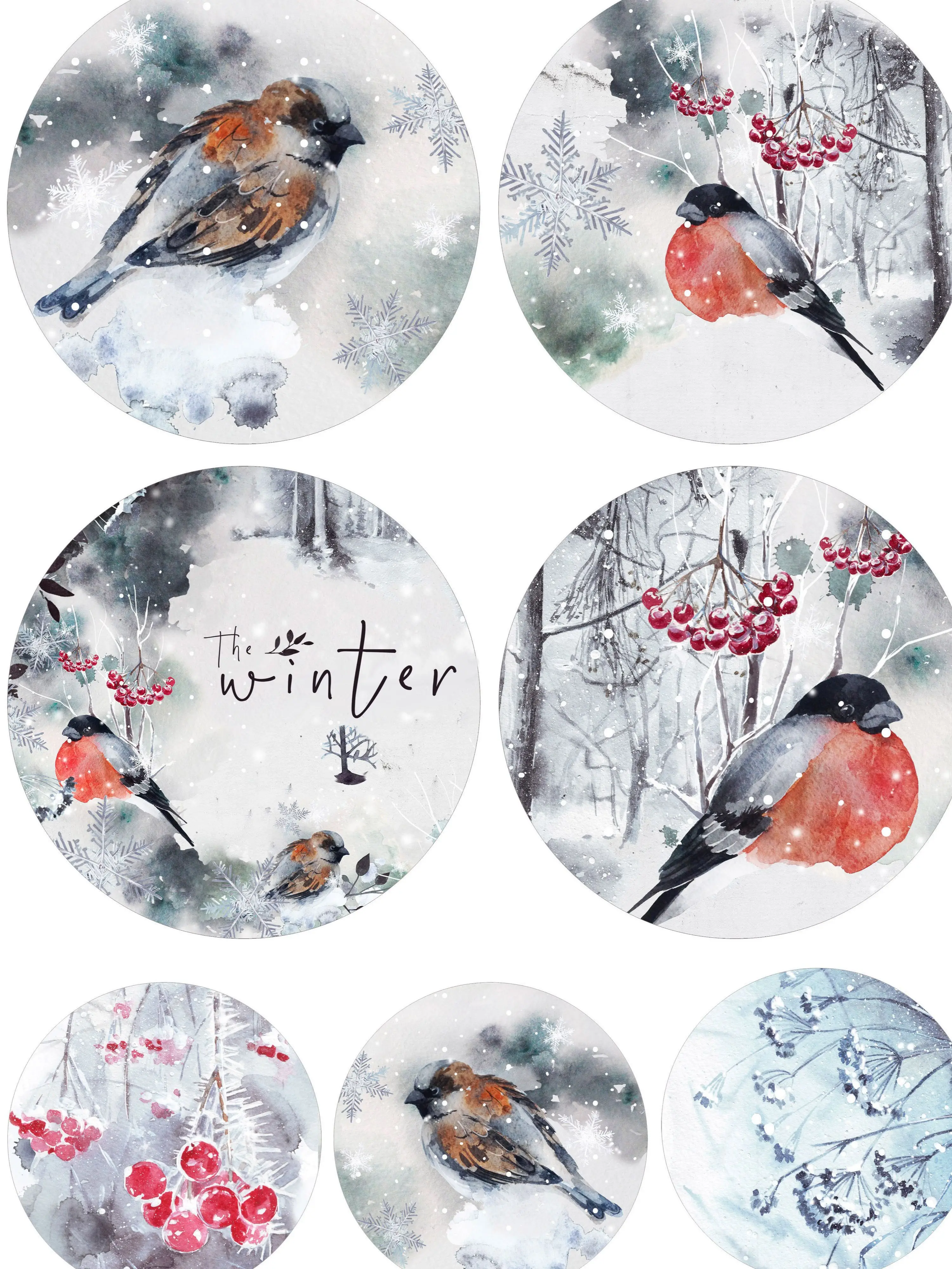 Rice paper for decoupage A4 Ultra-thin napkin 1629 winter birds Bullfinch Vintage Kraft DIY