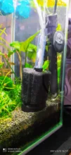 POND-FILTER Shrimp Filtration Bio-Sponge Aquarium Fry-Betta Fiter Nano Fish-Tank Cotton