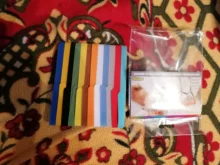 Puppy Collars Pet-Supplies Identification-Collar Small Dogs Kitten Whelping Bands Dogs