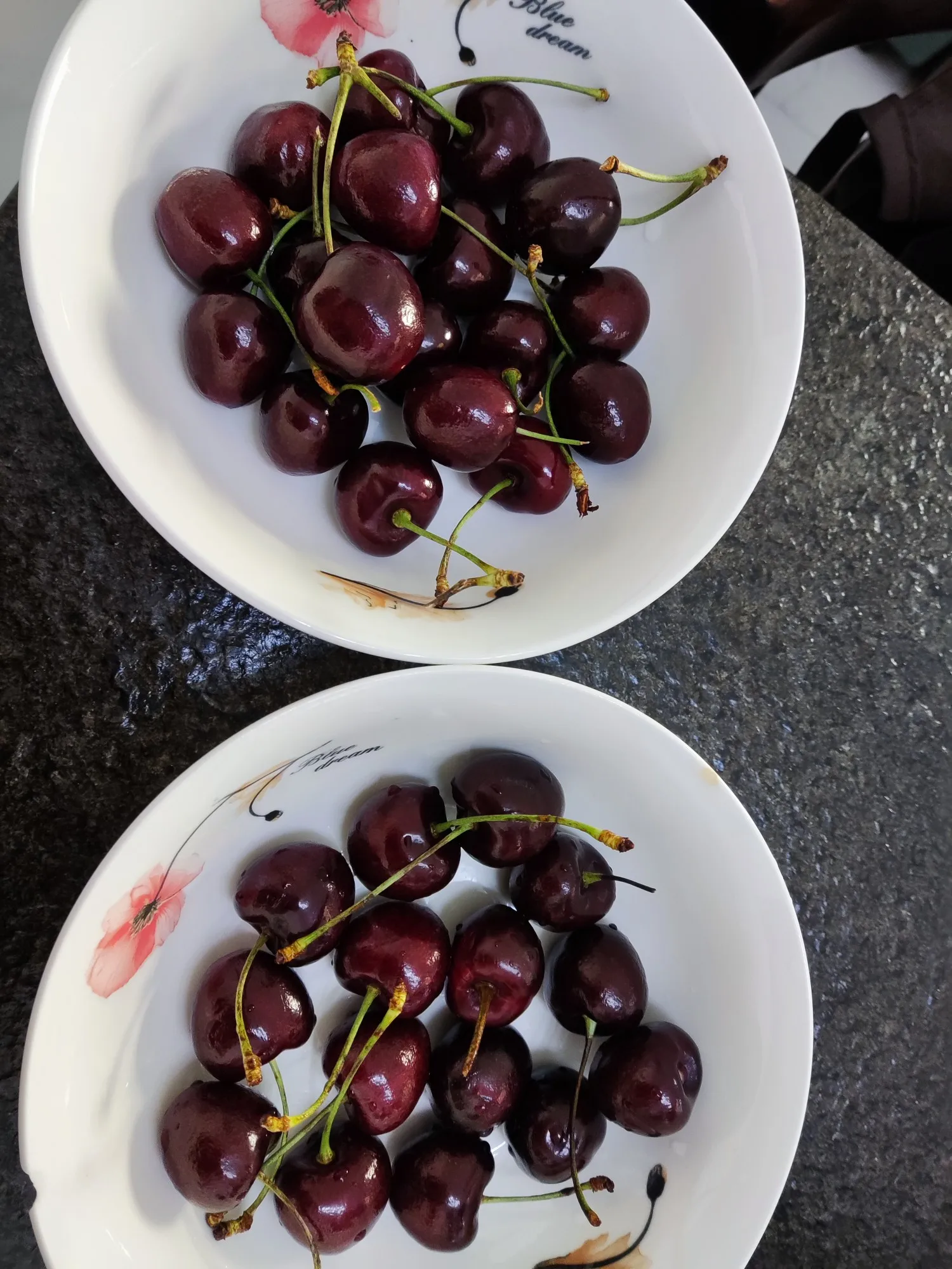 Attachment image review on Food Purifier