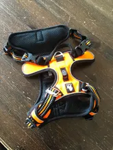 Truelove Front Nylon Dog Harness No Pull Vest Soft Adjustable Safety Harness For Dog