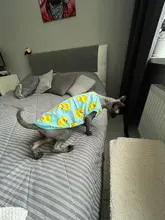 Ropa con estampado de patos para perros pequeños, Camiseta de algodón para cachorros y gatos, chaleco, camisas con perro Chihuahua