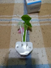 Luminaria-Lamp Mushroom Night-Light Us-Plug LED Induction-Dream Novelty Fungus 220V EU