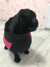 Vest Jacket Pets-Clothing Pug-Coat Puppy Dogs French Bulldog Waterproof Small Winter