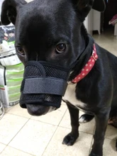 De policarbonato para perros ajustable máscara ladrar morder de la boca de malla boca aseo Anti deja de masticar