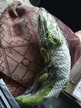 Toys Dog-Toy Squeaker-Toys Pet-Supplies Pet Chew Stuffed Squirrel Animal Bite-Resistant