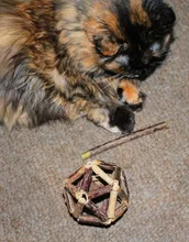 pawstrip 10pcs/lots Matatabi Pet Cat Toy Catnip Sticks Cleaning Tooth Pet Toy For Cats