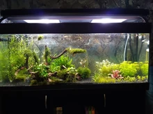 Trim-Tool-Kit-Set Scissor Tweezers Aquarium Live-Plants 3in1 Long-Handle