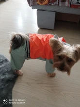 HOOPET-chubasquero para perro, mono impermeable para perros, abrigo para mascota, perro pequeño, gato, Chihuahua, chaqueta impermeable
