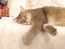 Fishing-Hook Overturned-Hooks Treble Bass Black High-Carbon-Steel 4 for -6 10pcs/Lot