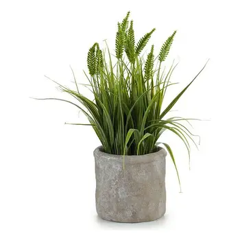 

Decorative Plant Ibergarden Plastic (12 x 30 x 12 cm)