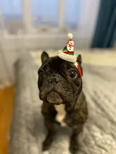 Costume Pet-Hat Pet-Cosplay-Clothes Christmas Cat Cute Dog Party-Decoration Glitter Elastic