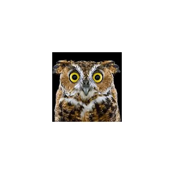 

AG 2351 a set of d/making paintings with rhinestones 'Curious sove' 20*20 cm Granni